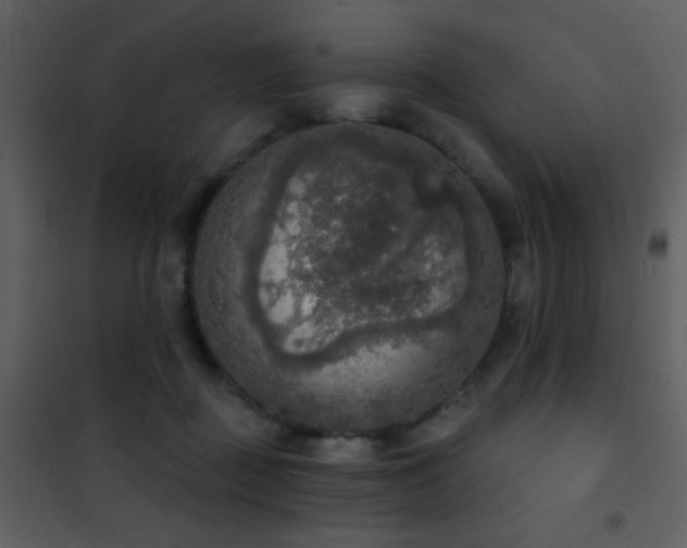 X0000101970363200807181110