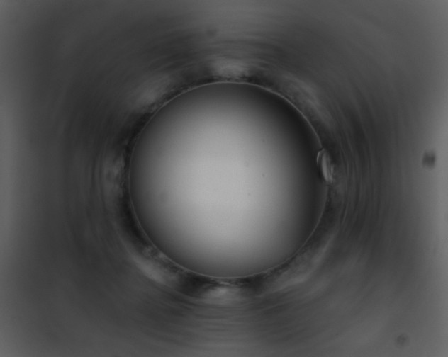 X0000101970364200807181110