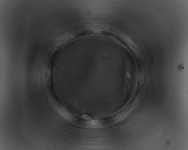 X0000101970365200807181110