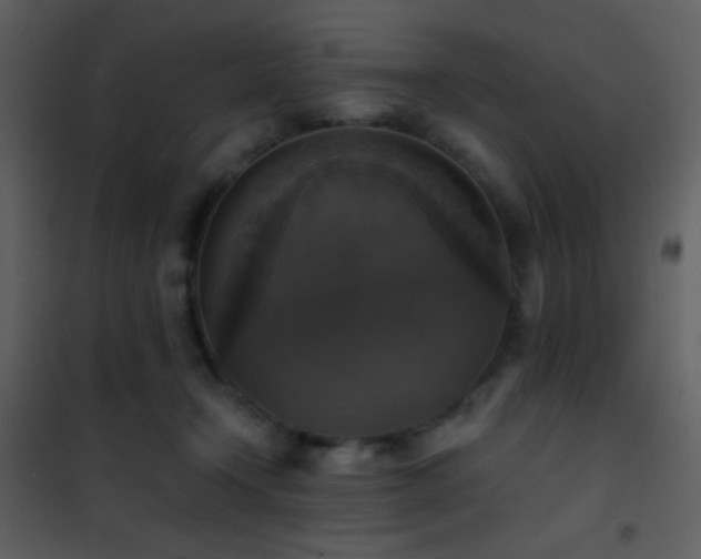 X0000101970366200807181110