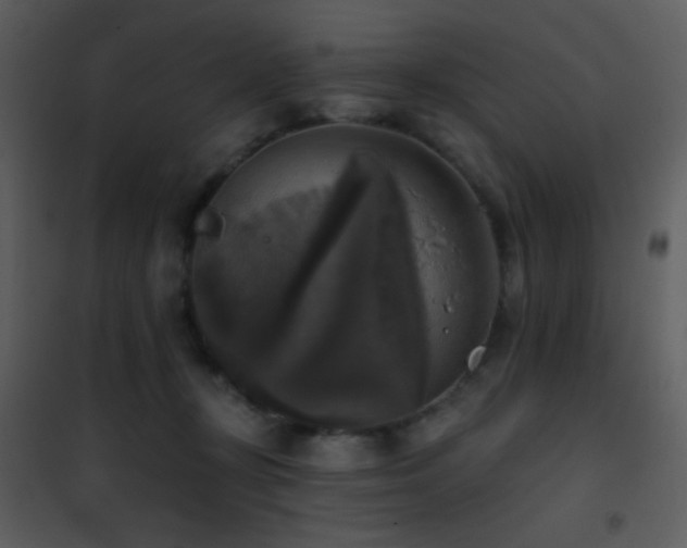 X0000101970367200807181110