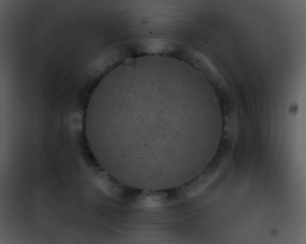 X0000101970368200807181110