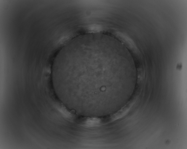 X0000101970369200807181110