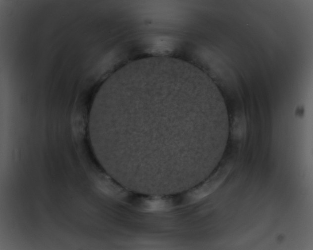 X0000101970370200807181110