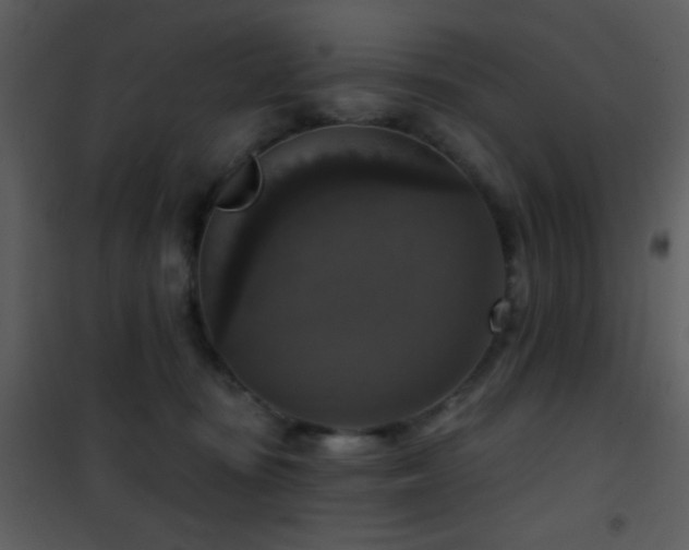 X0000101970371200807181110