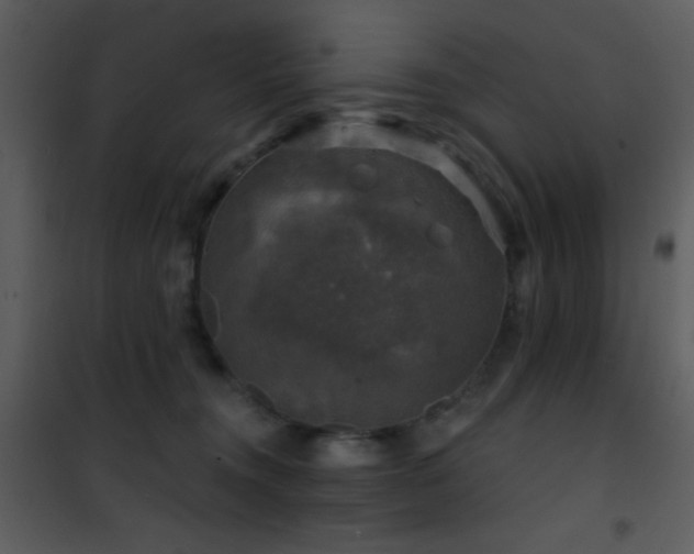 X0000101970372200807181110