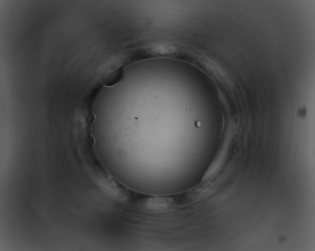 X0000101970373200807181110