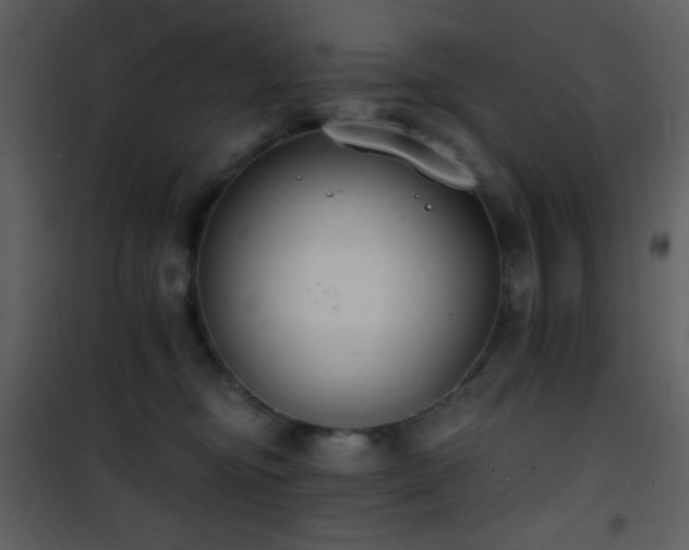 X0000101970374200807181110