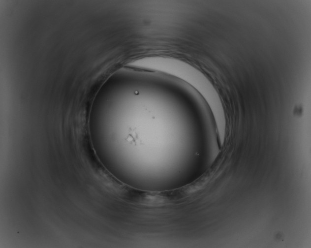 X0000101970376200807181110