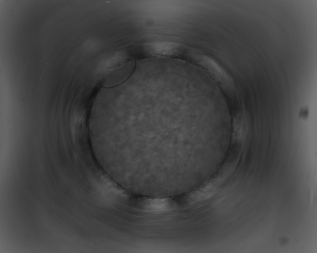 X0000101970377200807181110