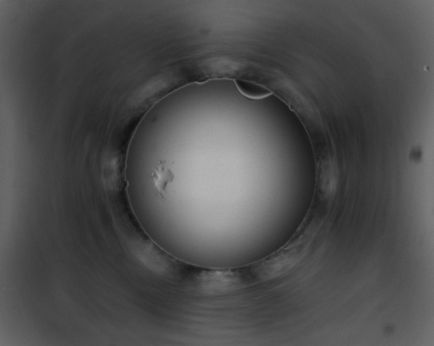 X0000101970378200807181111