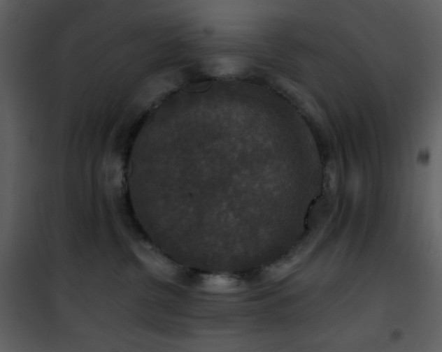 X0000101970380200807181111