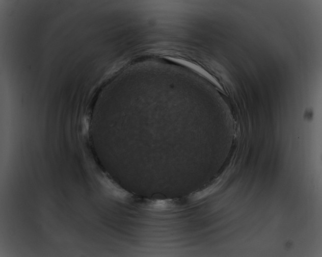 X0000101970382200807181111
