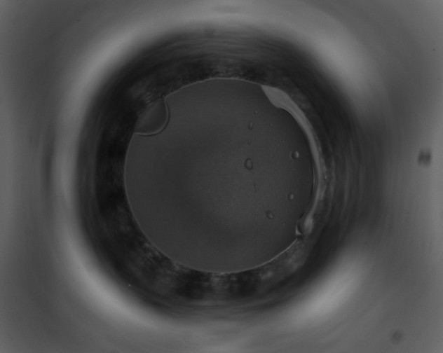 X0000101970383200807181111