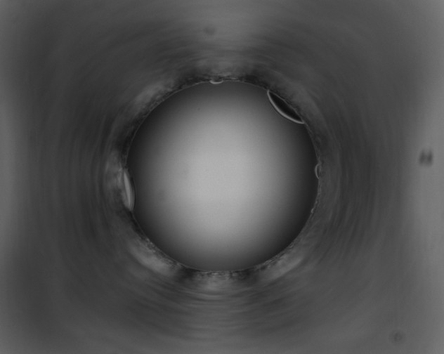 X0000101970384200807181111