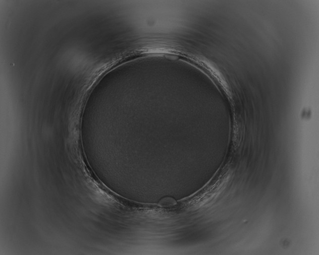 X0000101970385200807181110