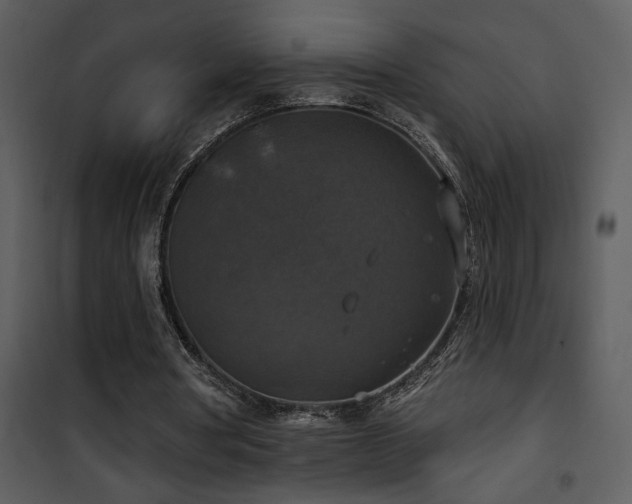 X0000101970386200807181110