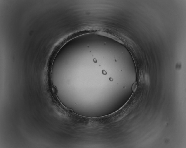 X0000101970388200807181110