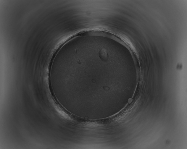 X0000101970389200807181110