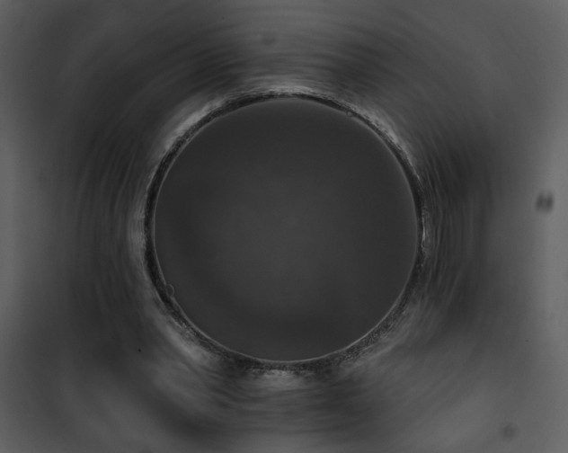 X0000101970390200807181110