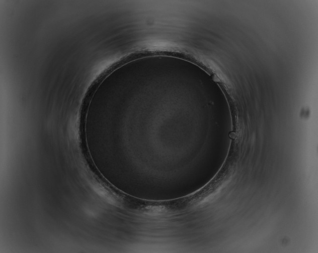 X0000101970391200807181110
