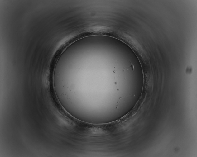 X0000101970392200807181110