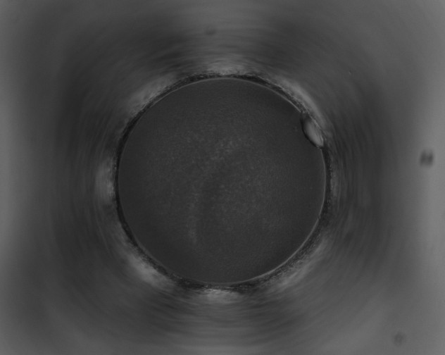 X0000101970393200807181110
