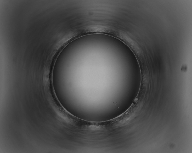 X0000101970394200807181110