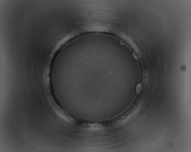 X0000101970395200807181110