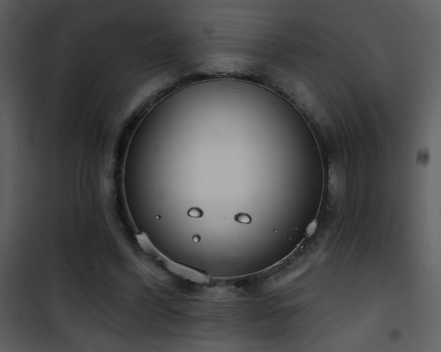 X0000101970396200807181110