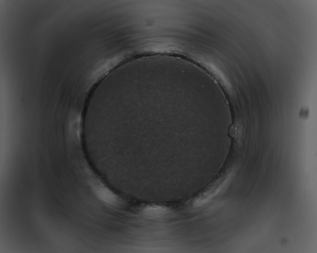 X0000101970397200807181110