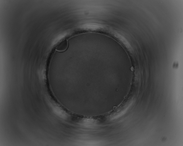 X0000101970399200807181110