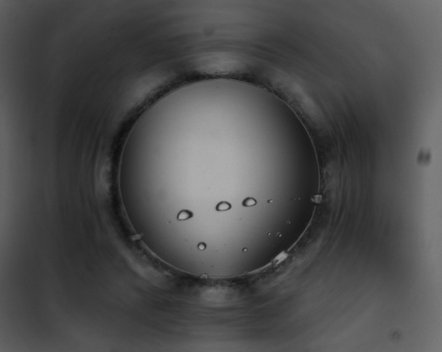 X0000101970400200807181110