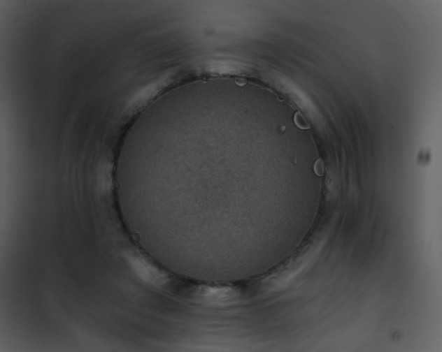 X0000101970401200807181110