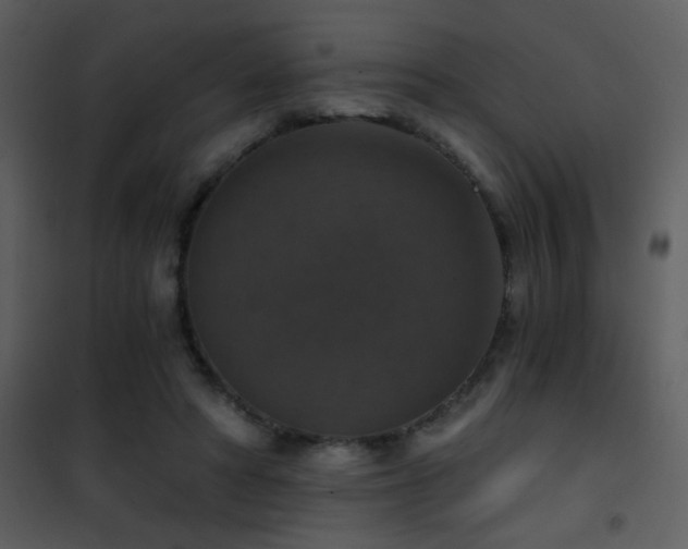 X0000101970402200807181110
