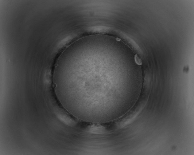 X0000101970403200807181110