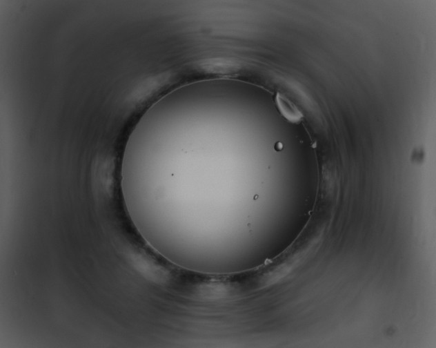 X0000101970404200807181110