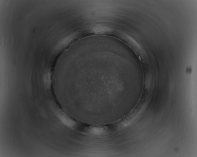 X0000101970405200807181110
