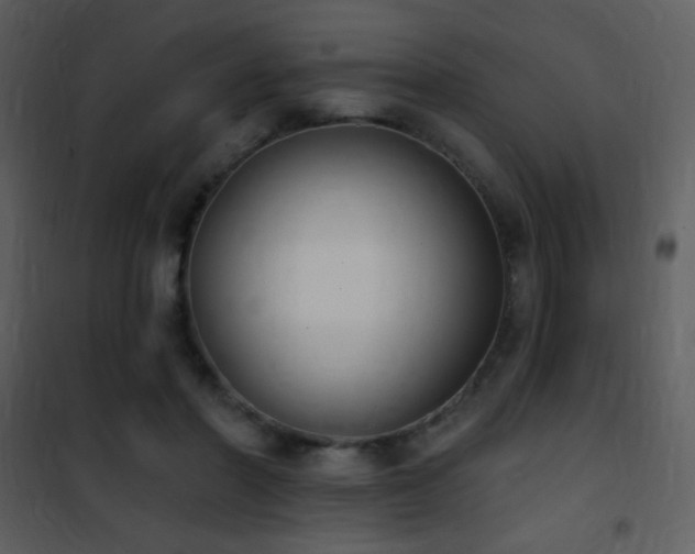 X0000101970406200807181110