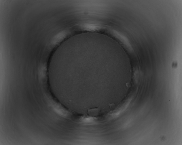 X0000101970407200807181110