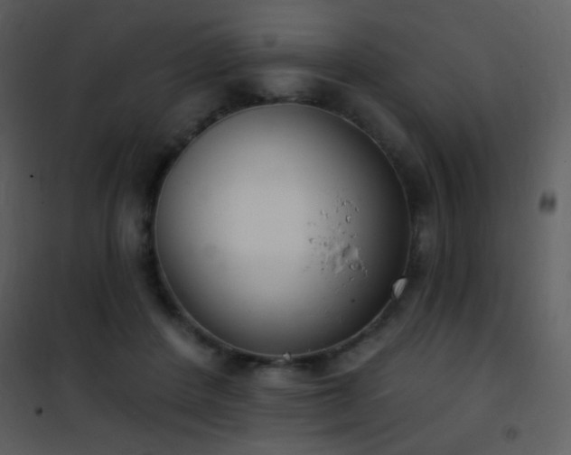 X0000101970408200807181110
