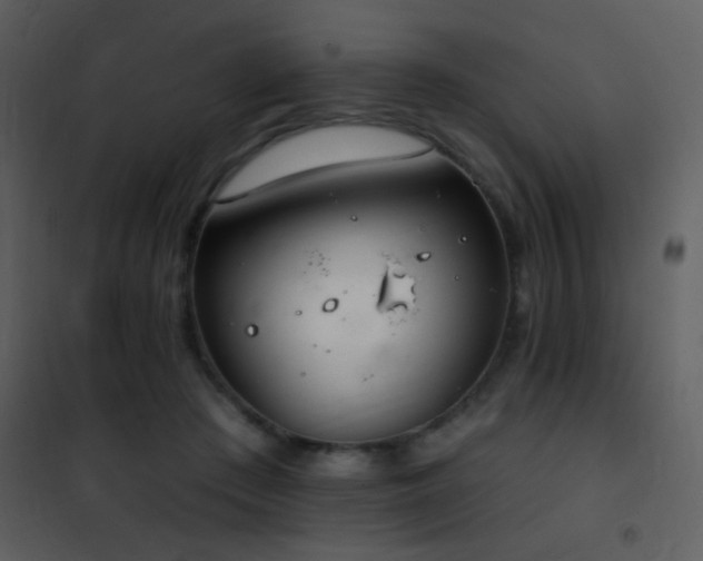 X0000101970409200807181110