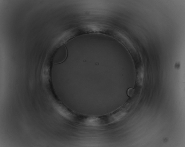 X0000101970410200807181110