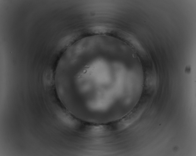 X0000101970411200807181110