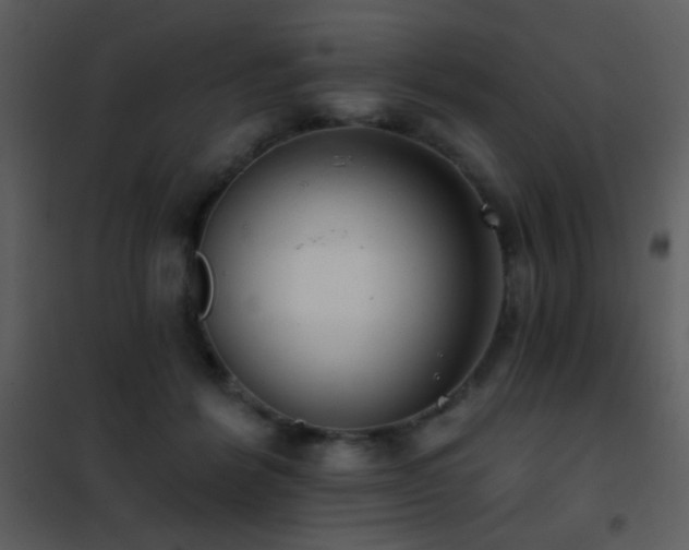 X0000101970412200807181110
