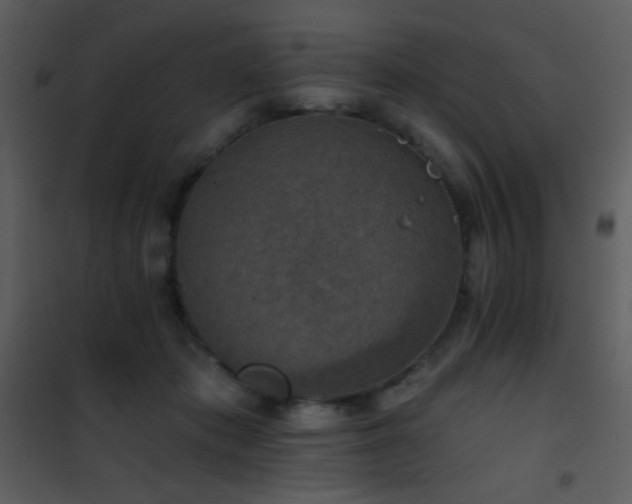 X0000101970413200807181110