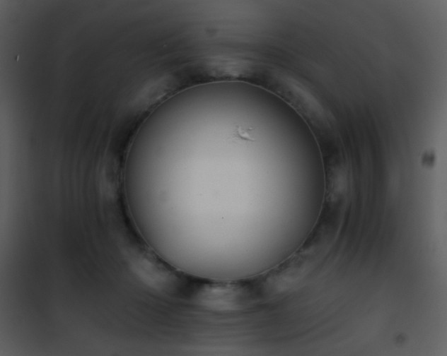 X0000101970414200807181110