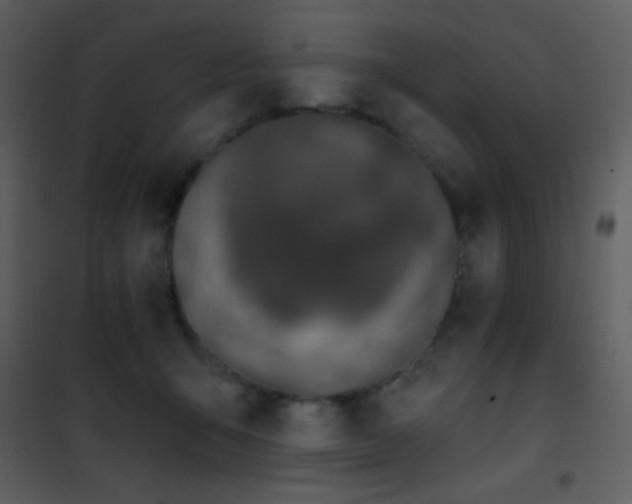 X0000101970415200807181109