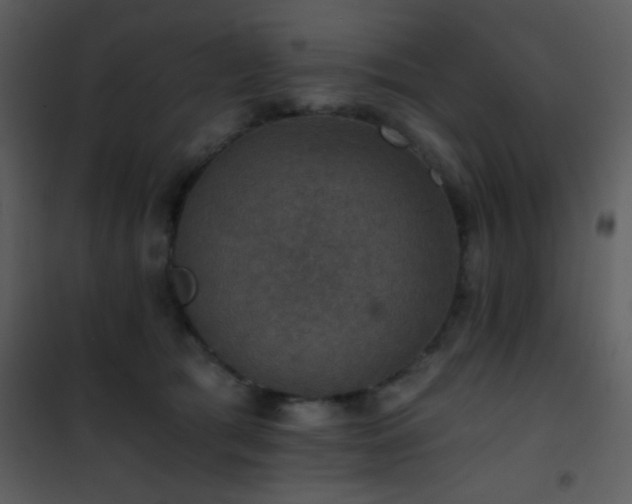 X0000101970417200807181109