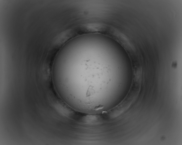 X0000101970418200807181109